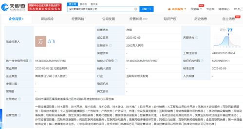 荣耀手机成立软件公司，进军互联网游戏与信息服务